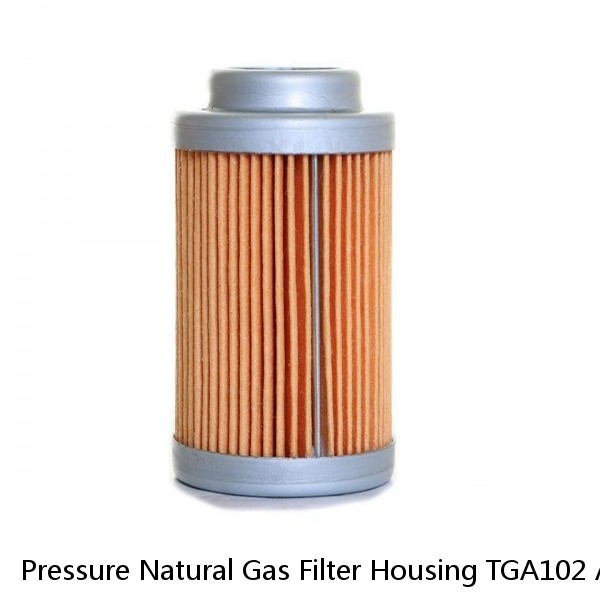 Pressure Natural Gas Filter Housing TGA102 Air Filter Housing #1 small image