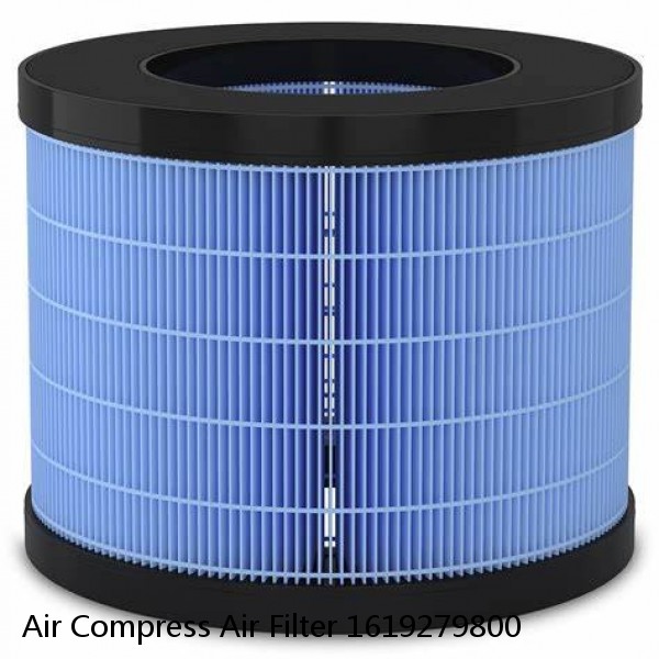 Air Compress Air Filter 1619279800 #1 image
