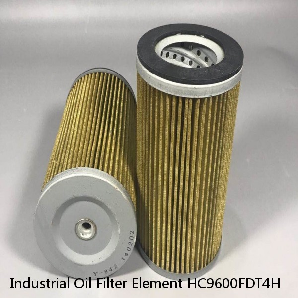 Industrial Oil Filter Element HC9600FDT4H #1 image