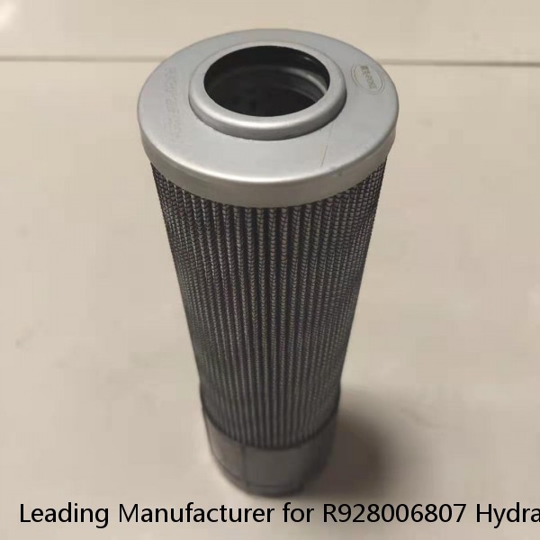 Leading Manufacturer for R928006807 Hydraulic Oil Filter #1 image